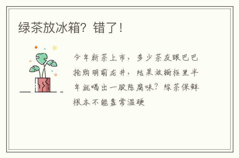 绿茶放冰箱？错了！