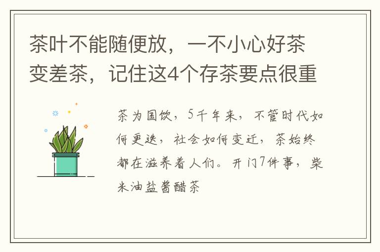 茶叶不能随便放，一不小心好茶变差茶，记住这4个存茶要点很重要