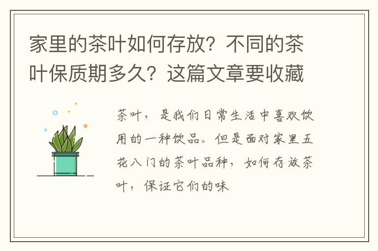 家里的茶叶如何存放？不同的茶叶保质期多久？这篇文章要收藏了