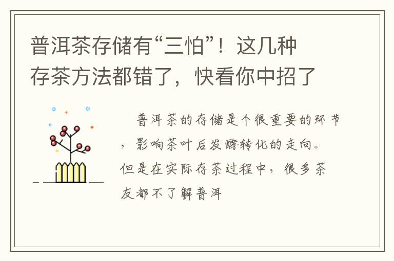 普洱茶存储有“三怕”！这几种存茶方法都错了，快看你中招了吗？