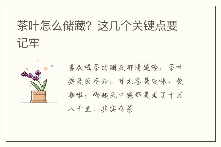 茶叶怎么储藏？这几个关键点要记牢