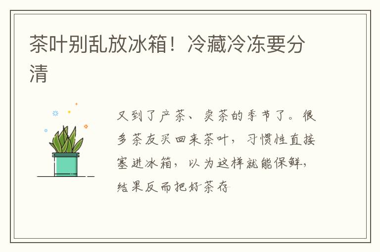 茶叶别乱放冰箱！冷藏冷冻要分清