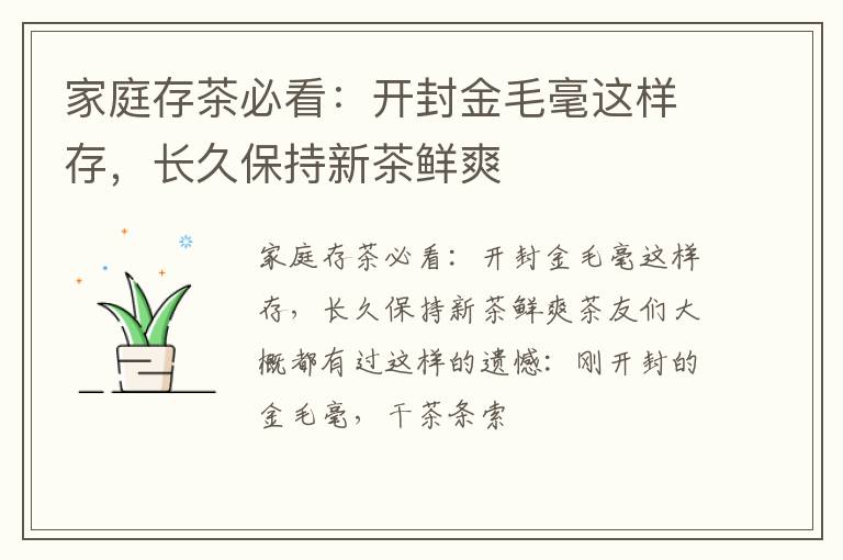 家庭存茶必看：开封金毛毫这样存，长久保持新茶鲜爽