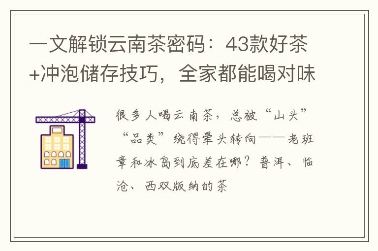 一文解锁云南茶密码：43款好茶+冲泡储存技巧，全家都能喝对味