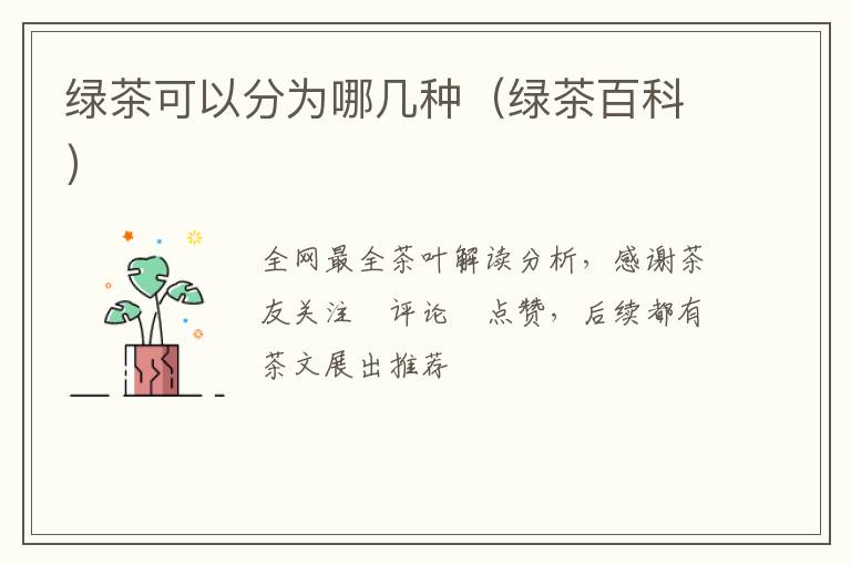 绿茶可以分为哪几种（绿茶百科）