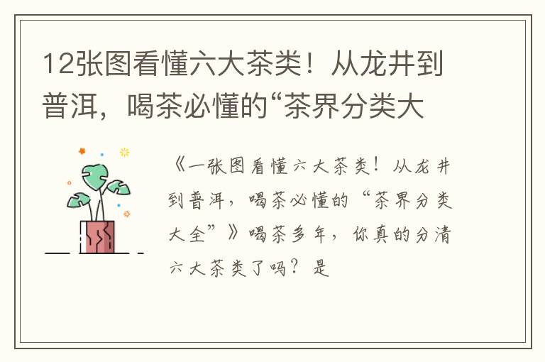 12张图看懂六大茶类！从龙井到普洱，喝茶必懂的“茶界分类大全”