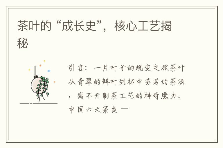 茶叶的 “成长史”，核心工艺揭秘