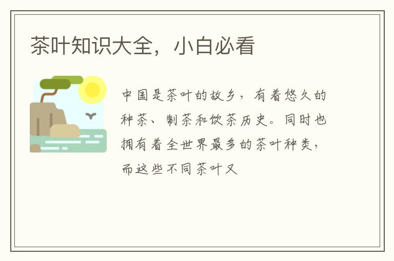 茶叶知识大全，小白必看
