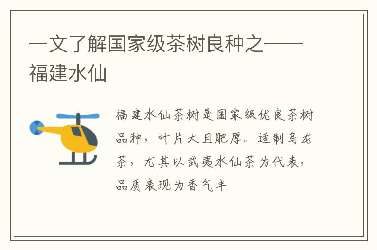 一文了解国家级茶树良种之——福建水仙