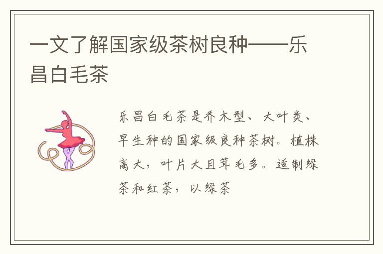 一文了解国家级茶树良种——乐昌白毛茶