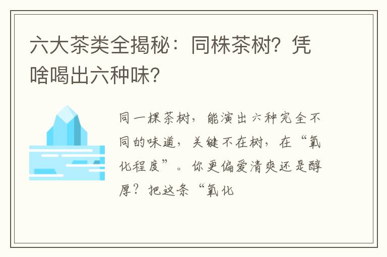 六大茶类全揭秘：同株茶树？凭啥喝出六种味？