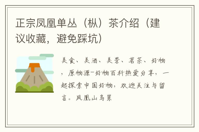 正宗凤凰单丛（枞）茶介绍（建议收藏，避免踩坑）