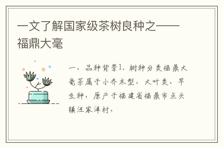 一文了解国家级茶树良种之——福鼎大毫