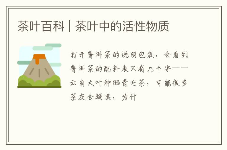 茶叶百科 | 茶叶中的活性物质