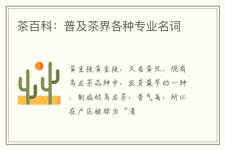 茶百科：普及茶界各种专业名词