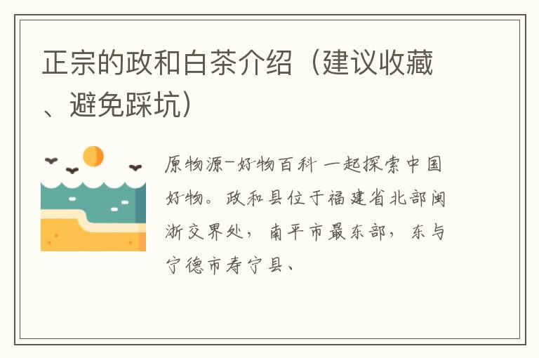 正宗的政和白茶介绍（建议收藏、避免踩坑）