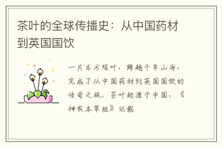 茶叶的全球传播史：从中国药材到英国国饮