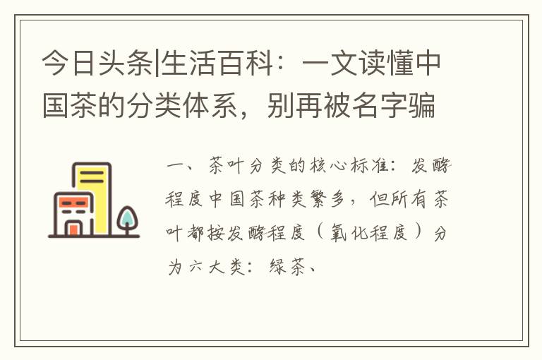 今日头条|生活百科：一文读懂中国茶的分类体系，别再被名字骗了