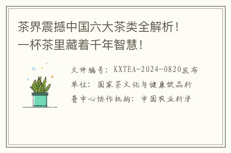 茶界震撼中国六大茶类全解析！一杯茶里藏着千年智慧！