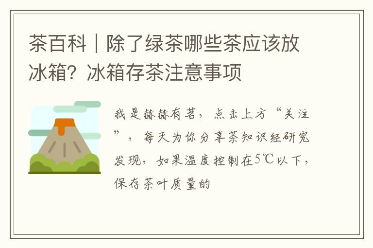 茶百科｜除了绿茶哪些茶应该放冰箱？冰箱存茶注意事项