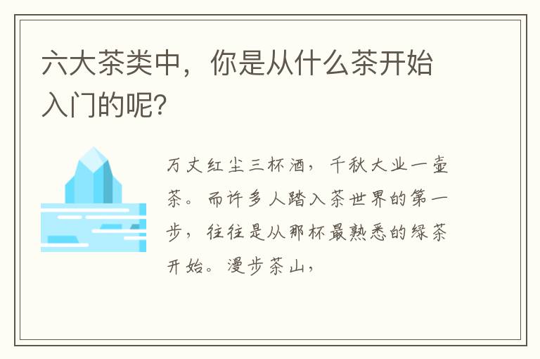 六大茶类中，你是从什么茶开始入门的呢？