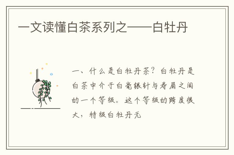 一文读懂白茶系列之——白牡丹