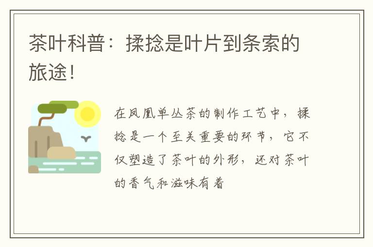 茶叶科普：揉捻是叶片到条索的旅途！