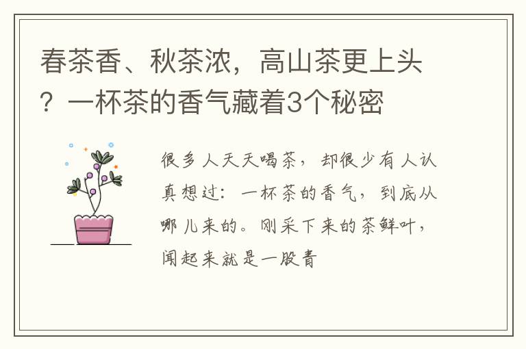 春茶香、秋茶浓，高山茶更上头？一杯茶的香气藏着3个秘密