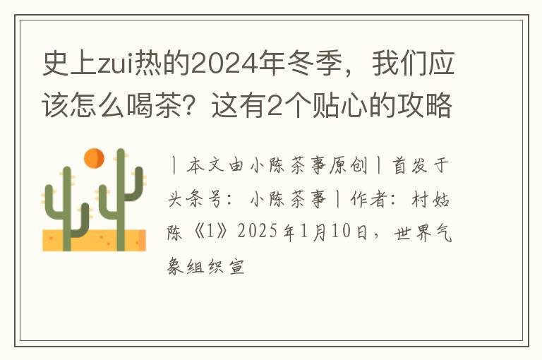 史上zui热的2024年冬季，我们应该怎么喝茶？这有2个贴心的攻略！