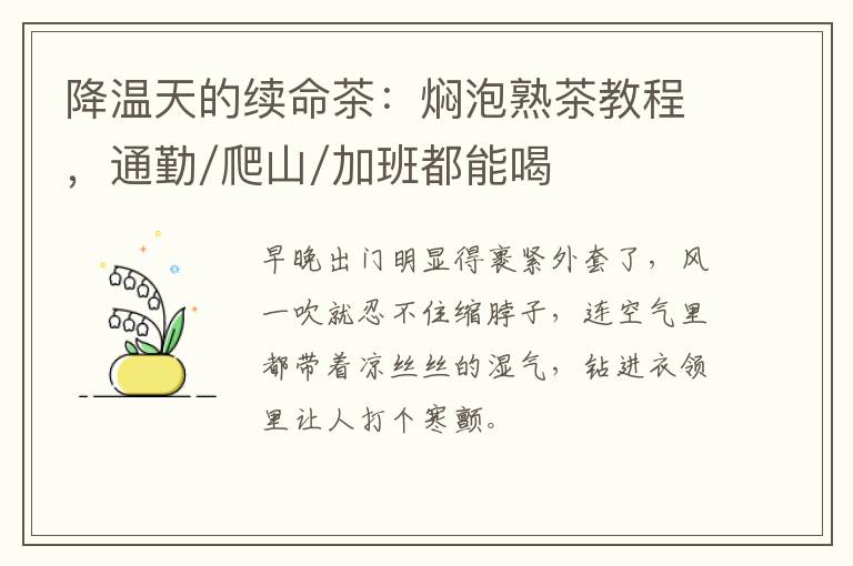 降温天的续命茶:焖泡熟茶教程,通勤/爬山/加班都能喝