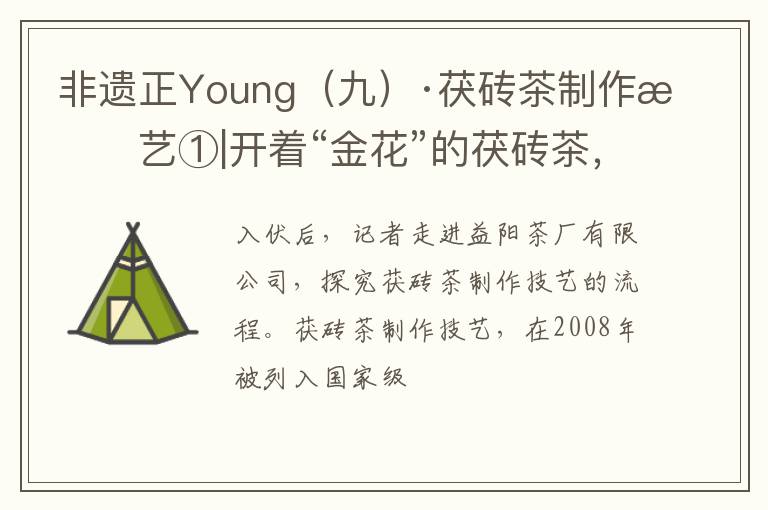 非遗正Young（九）·茯砖茶制作技艺①|开着“金花”的茯砖茶，里面是什么高科技？
