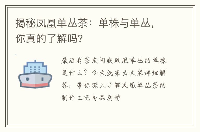 揭秘凤凰单丛茶：单株与单丛，你真的了解吗？