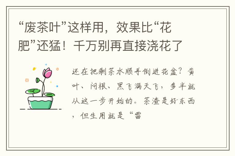 “废茶叶”这样用，效果比“花肥”还猛！千万别再直接浇花了