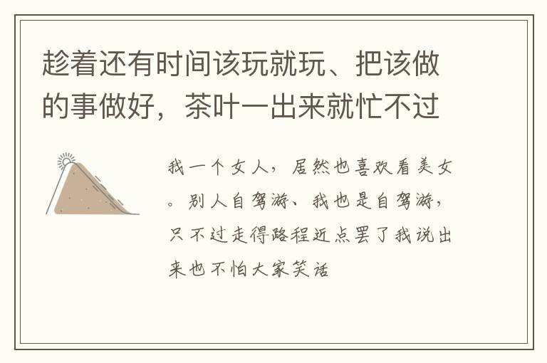 趁着还有时间该玩就玩、把该做的事做好，茶叶一出来就忙不过来了