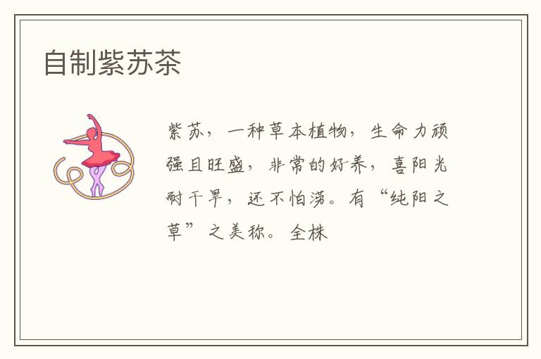 自制紫苏茶
