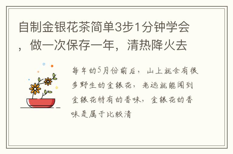 自制金银花茶简单3步1分钟学会，做一次保存一年，清热降火去痱子