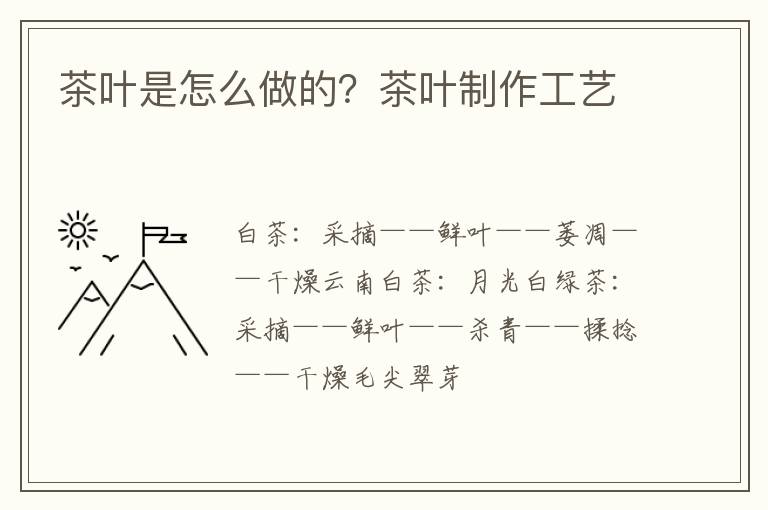 茶叶是怎么做的？茶叶制作工艺