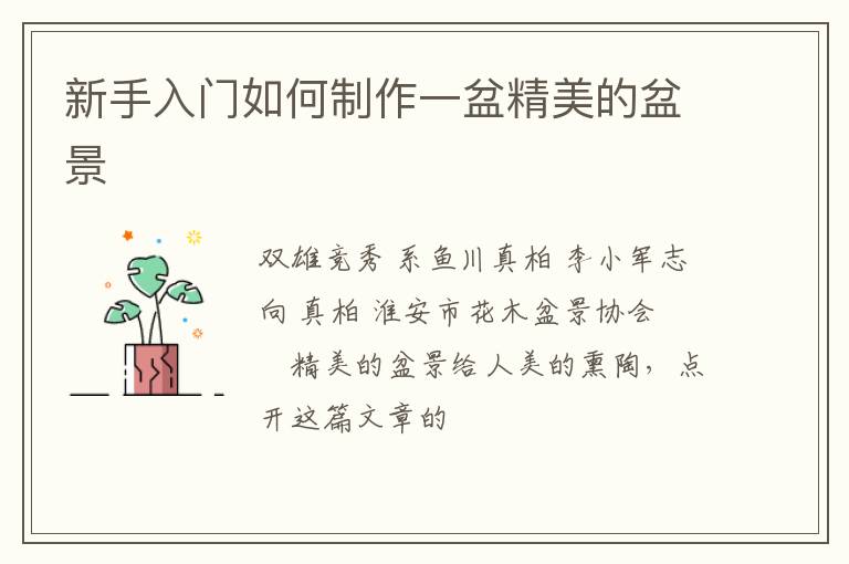 新手入门如何制作一盆精美的盆景