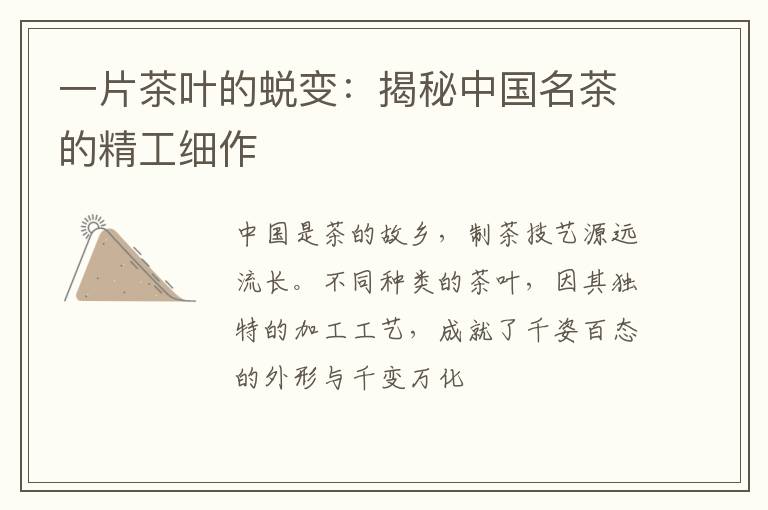 一片茶叶的蜕变：揭秘中国名茶的精工细作