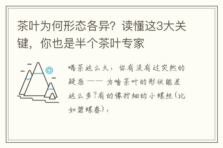 茶叶为何形态各异？读懂这3大关键，你也是半个茶叶专家