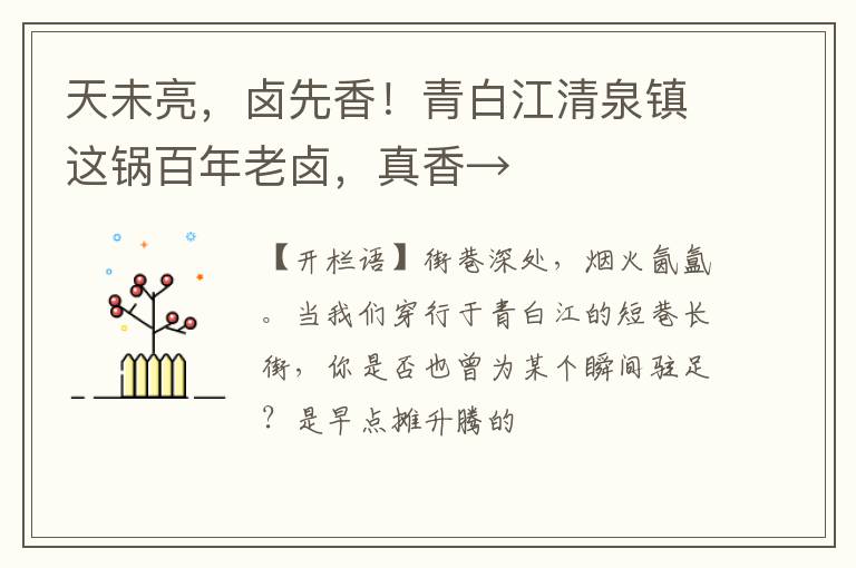 天未亮,卤先香!青白江清泉镇这锅百年老卤,真香→