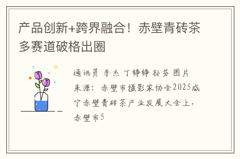 产品创新+跨界融合！赤壁青砖茶多赛道破格出圈