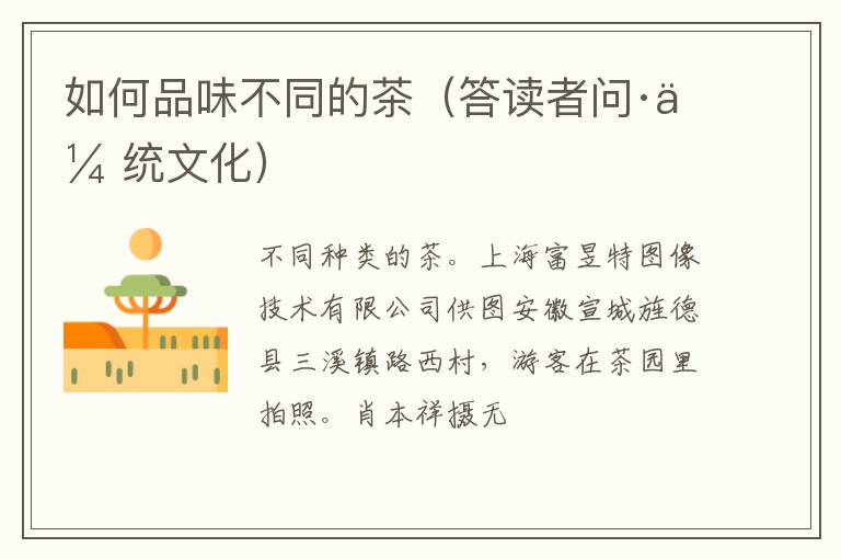 如何品味不同的茶（答读者问·传统文化）