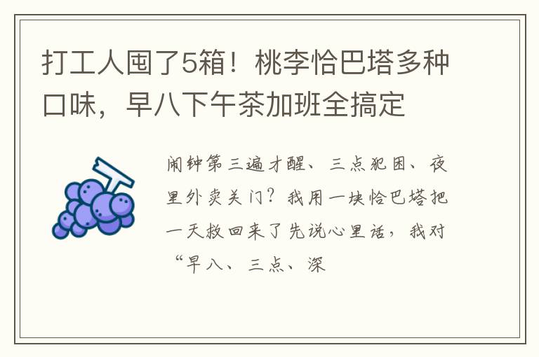 打工人囤了5箱!桃李恰巴塔多种口味,早八下午茶加班全搞定