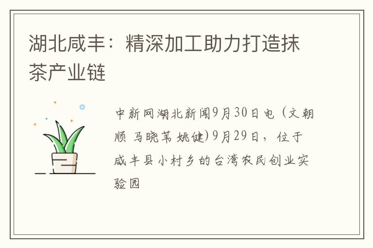 湖北咸丰：精深加工助力打造抹茶产业链