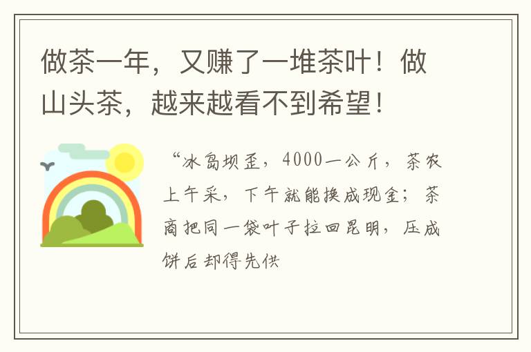 做茶一年,又赚了一堆茶叶!做山头茶,越来越看不到希望!