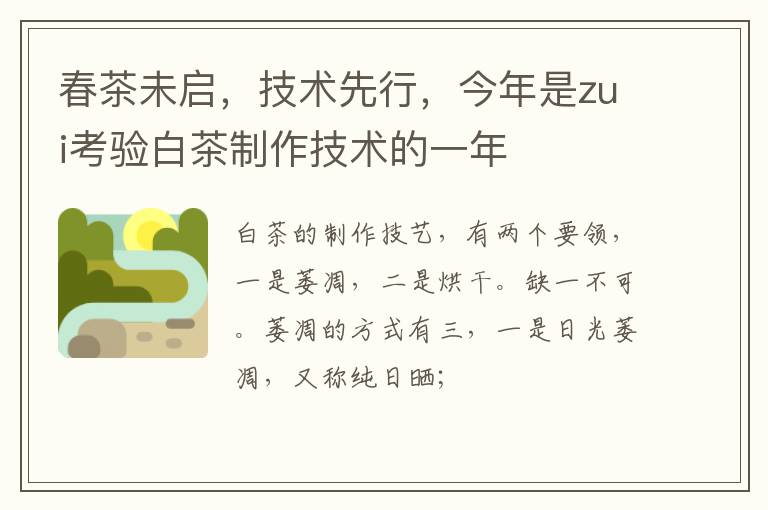 春茶未启，技术先行，今年是zui考验白茶制作技术的一年