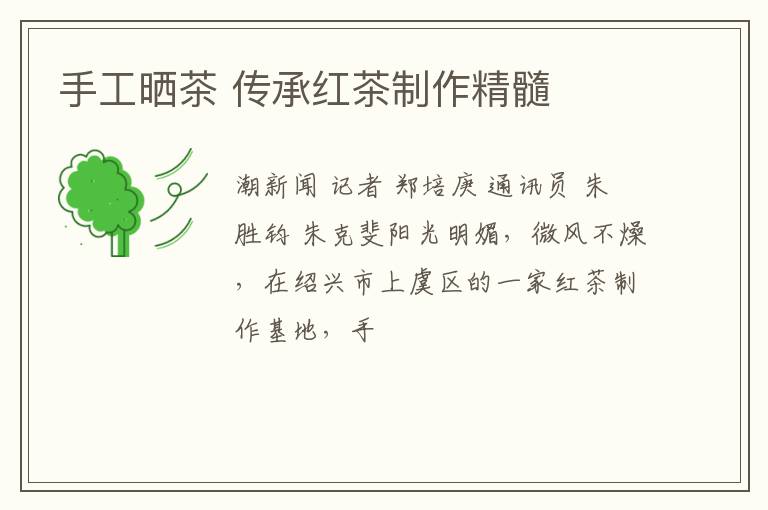 手工晒茶 传承红茶制作精髓