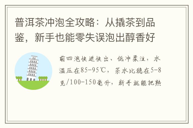 普洱茶冲泡全攻略：从撬茶到品鉴，新手也能零失误泡出醇香好茶