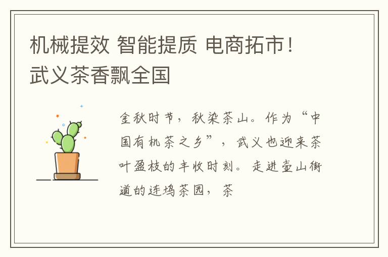 机械提效 智能提质 电商拓市！武义茶香飘全国